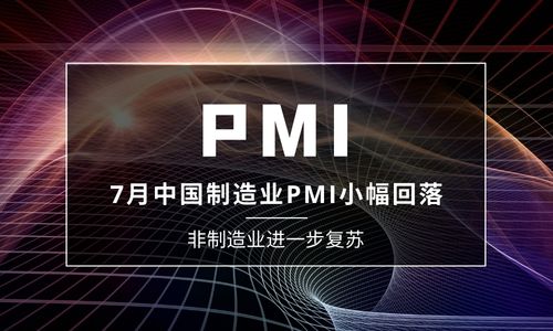 7月中國制造業PMI小幅回落至49