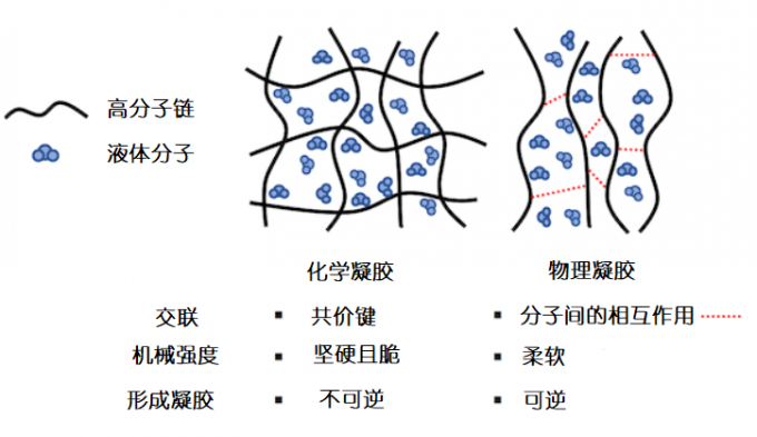 化學凝膠和物理凝膠的區別